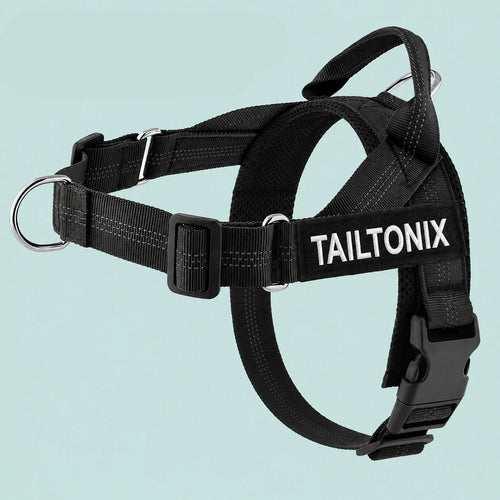 TailTonix Custom No-Pull Harness