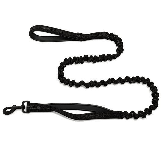 TailTonix Stretch Lead