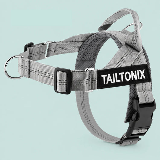 TailTonix Custom No-Pull Harness