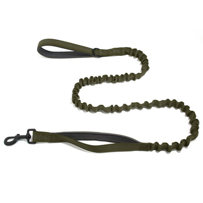 TailTonix Stretch Lead