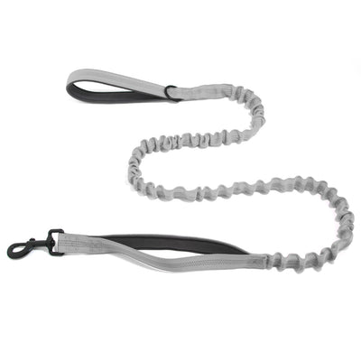 TailTonix Stretch Lead