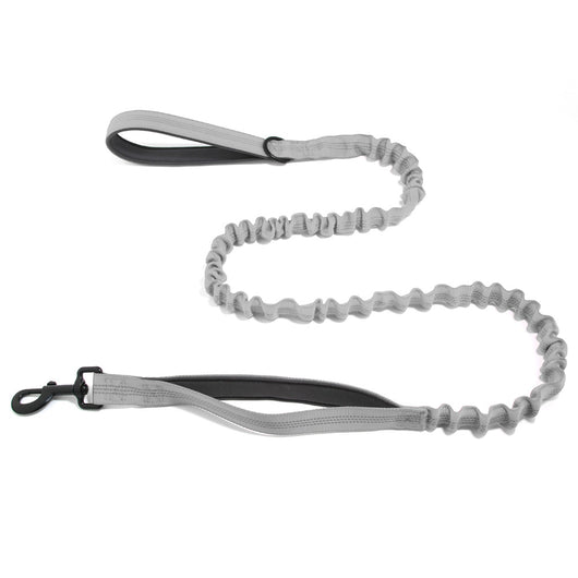 TailTonix Stretch Lead