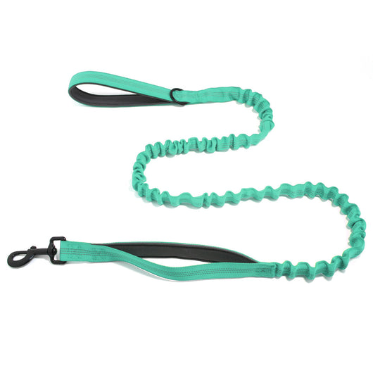TailTonix Stretch Lead
