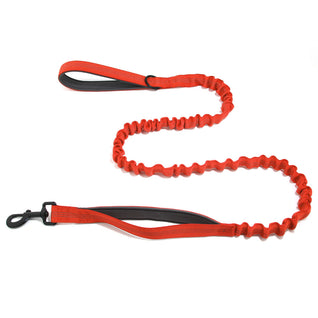 TailTonix Stretch Lead