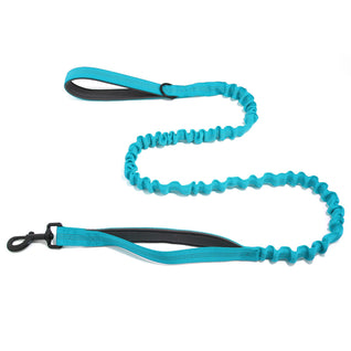 TailTonix Stretch Lead