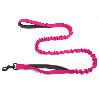 TailTonix Stretch Lead