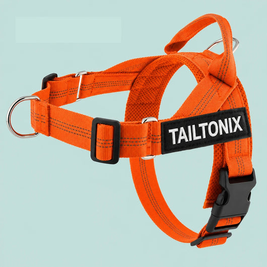 TailTonix Custom No-Pull Harness