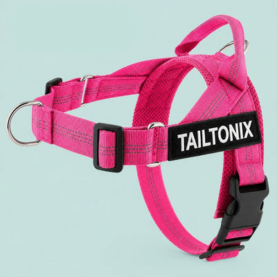 Harnais anti-traction personnalisé TailTonix
