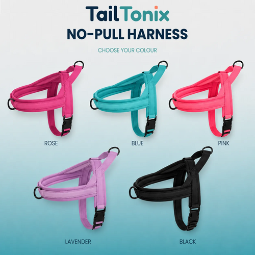 TailTonix Comfort Control Harness