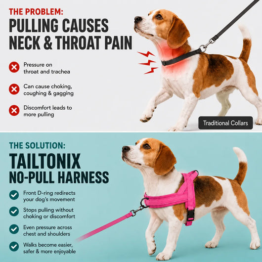 TailTonix Comfort Control Harness