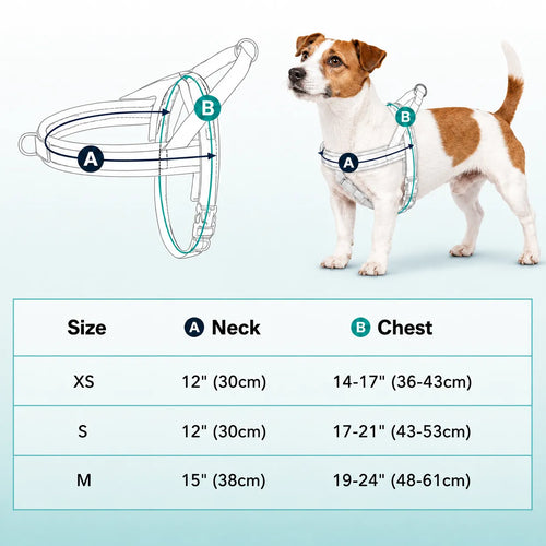 TailTonix Comfort Control Harness