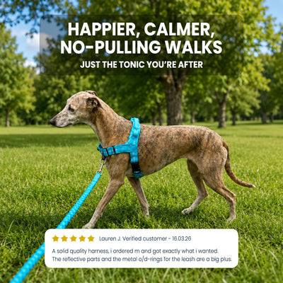 TailTonix Comfort Control Harness