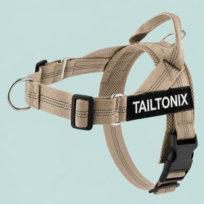 TailTonix Custom No-Pull Harness