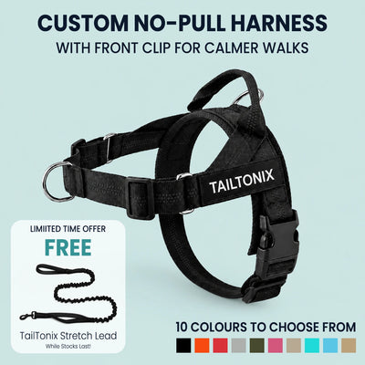 TailTonix Custom No-Pull Harness