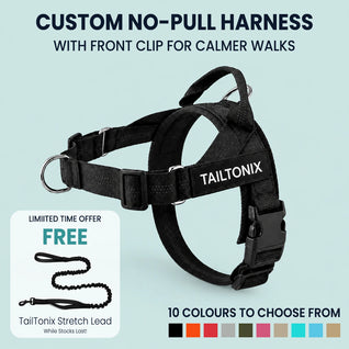 TailTonix Custom No-Pull Harness