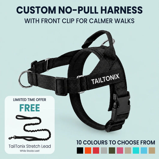 TailTonix Custom No-Pull Harness
