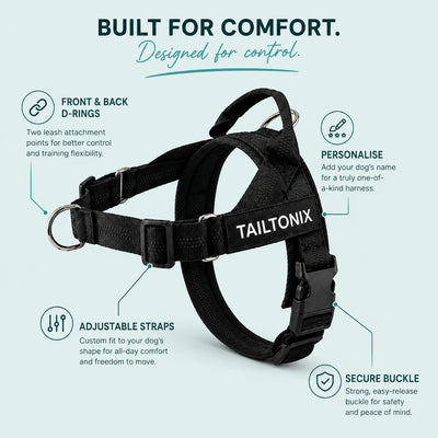 TailTonix Custom No-Pull Harness