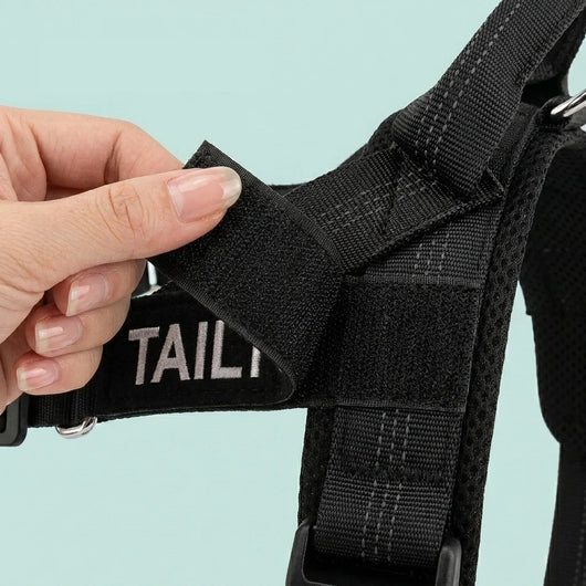 TailTonix Custom No-Pull Harness