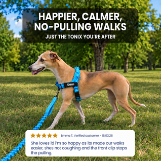 TailTonix Custom No-Pull Harness