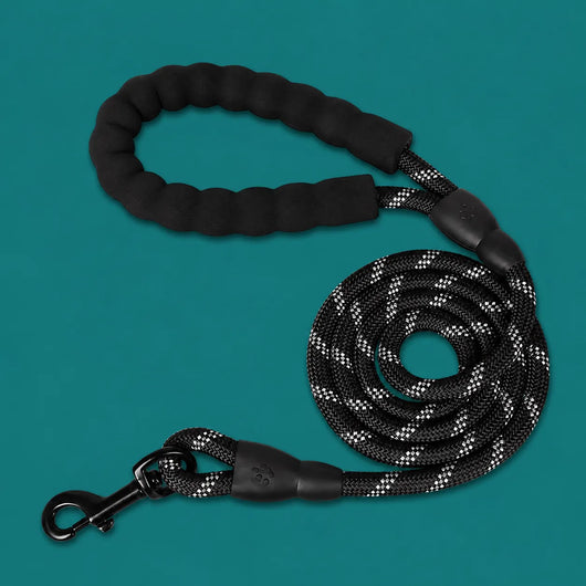 TailTonix Reflective Padded Lead