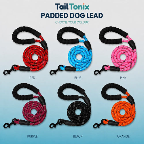 TailTonix Reflective Padded Lead