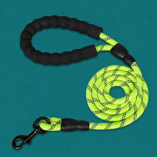 TailTonix Reflective Padded Lead