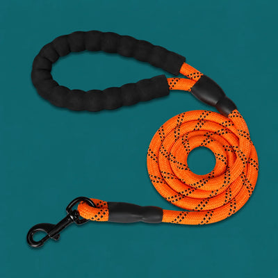 TailTonix Reflective Padded Lead