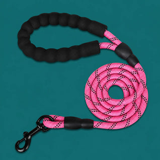 TailTonix Reflective Padded Lead