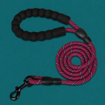 TailTonix Reflective Padded Lead