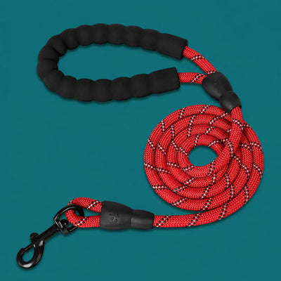 TailTonix Reflective Padded Lead