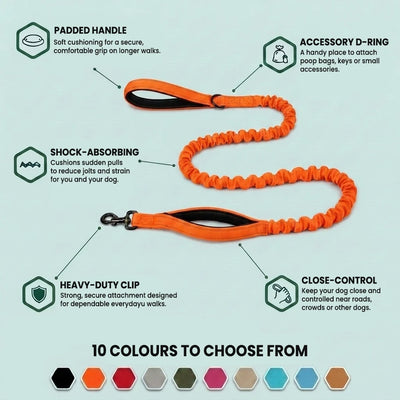 TailTonix Custom No-Pull Harness
