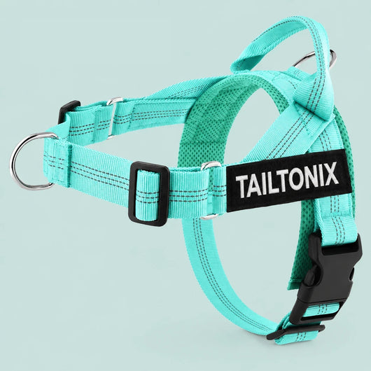 TailTonix Custom No-Pull Harness